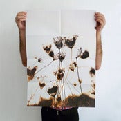 Image of Special Offer Poster 01 + 02