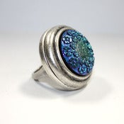 Image of Moon Clover- Blue
