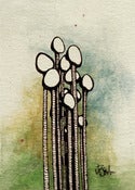 Image of Enokitake Mushrooms