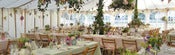 Image of Daisy Hardcastle wedding lists Whether you are looking to hold your wedding list with us, buy the pe