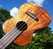 Image of Big Island Honu Koa Concert