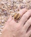 Image of Tiger Eye