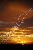 Image of Sunrise Coasters
