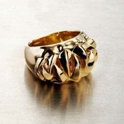 Image of Fang Ring