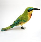 Image of LITTLE BEE EATER