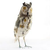 Image of LONG EARED OWL