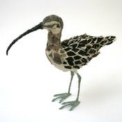 Image of CURLEW