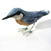 Image of NUTHATCH
