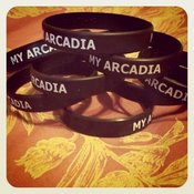 Image of My Arcadia Bracelets