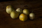 Image of Lemon cucumbers 