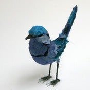Image of FAIRY WREN