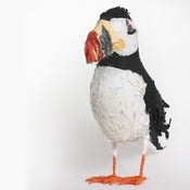 Image of PUFFIN