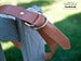 Image of The F/M x W&F D-Ring Belt - 1.5in Tan/Brass