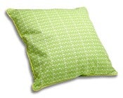 Image of Apple & Lime Green Cushion