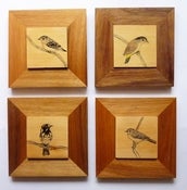 Image of Art on wood -  framed bush birds