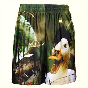 Image of Duck Life