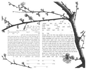 Cherry Blossoms, first bloom
