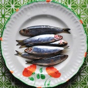 Image of Sprats on a Plate
