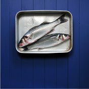 Image of Fresh Fish