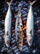 Image of BBQ Mackerel