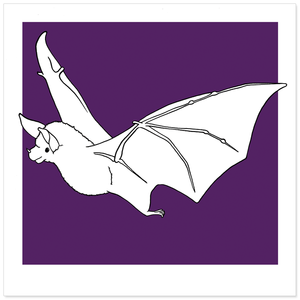 Image of Print / Bat
