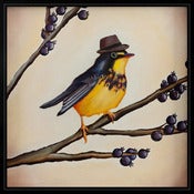 Image of English Gentleman #4 (Hatch)