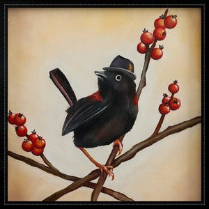 Image of English Gentleman #1 (Fairy Wren)