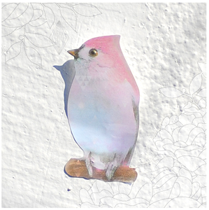 Image of StandardNumber Bird Memo