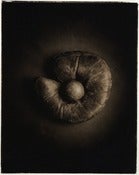 Image of Catchers Mitt