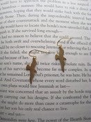 Image of Flying Bird Earings