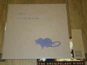 Image of Rat Catching - Rat Catching LP