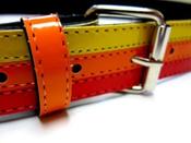 Image of 80's Groovy Rainbow Belt