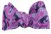 Image of Royal Purple Paisley Bow Tie 