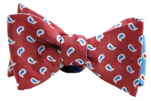 Image of Block Island Red and Blue Paisley Bow tie
