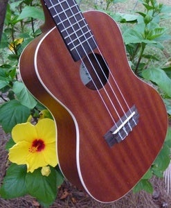 Image of Kala KA-C Mahogany Concert w/ Uke Bag