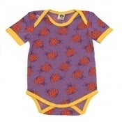 Image of purple ladybird body, by Smafolk