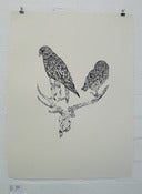 Image of Susie Wright- Bird Skulls- Team Recoat Screen Print