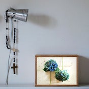 Image of luMierebox - earthly series