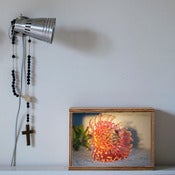 Image of luMierebox - australian earthly series