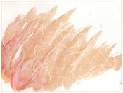 Image of tokalon I - SOLD