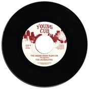 Image of The Aggrolites - "Aggro Band" 45