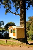 Image of DIY Treehouse