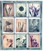 Image of POLAROID IMAGE TRANSFER/EMULSION LIFT WORKSHOP