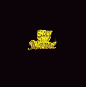 Image of Say the Name Lapel Pin