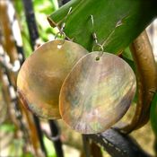 Image of White Sands Shell Earrings