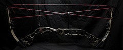 Image of HG signature series bow by Athens