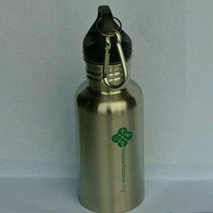 Image of Stainless Steel Water Bottle 