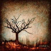 Image of "Drip Tree Dormant 1" <br>Sizes: 4x4", 6x6", 8x8", 12x12" 