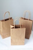 Image of Recycled Kraft Handle Bags 8 x 5 1/4 x 3 1/2 inches