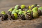 Image of SHADES OF GREEN Merino Wool Felted Acorns